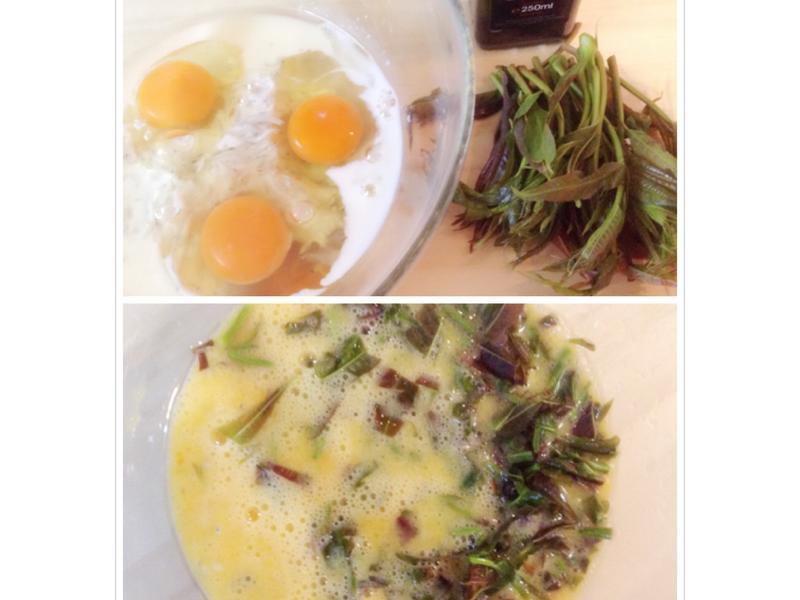 ��������-����NO.2?�㴻������浰?������