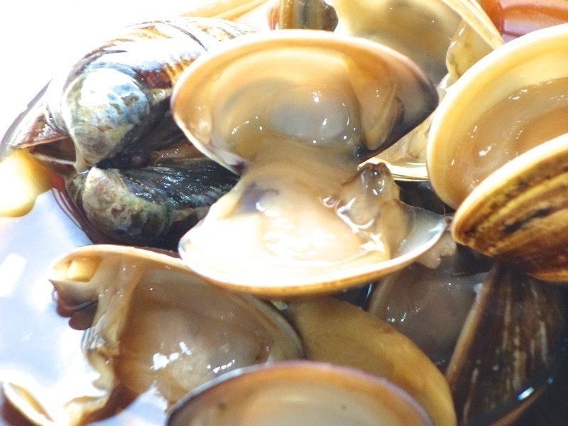 Ӱ��ʾ����ѧ ���Z���� ���̵�����