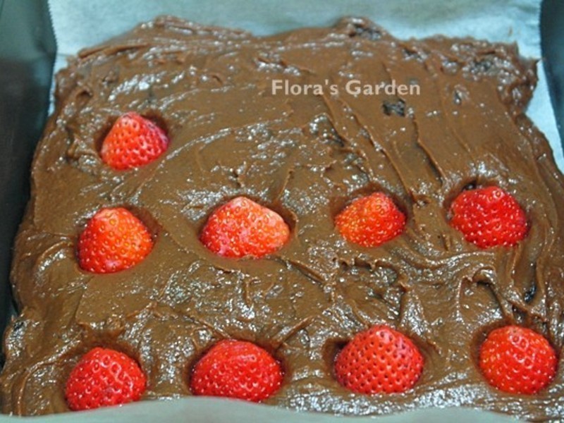 �ɿ���������?��ݮ�Ͱ�ӥ�����̵�����