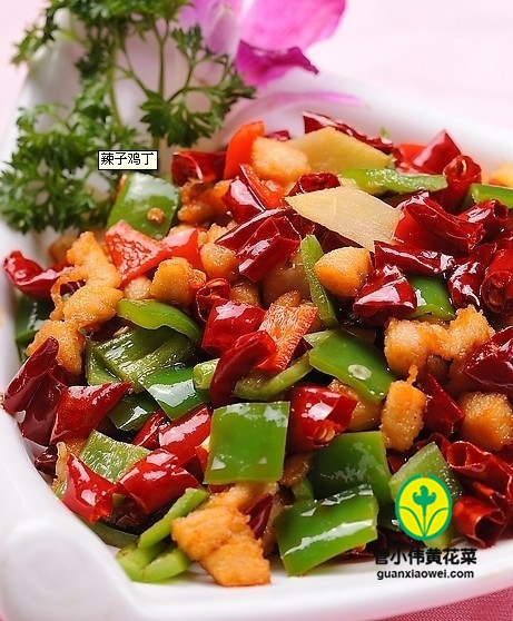 �ƻ��˳����Ӽ���-�ó��·��˵�����