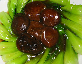 �������ĵ�����