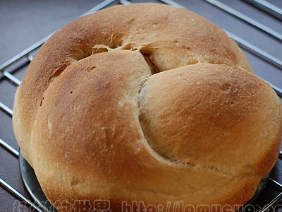 �������ƻ����������