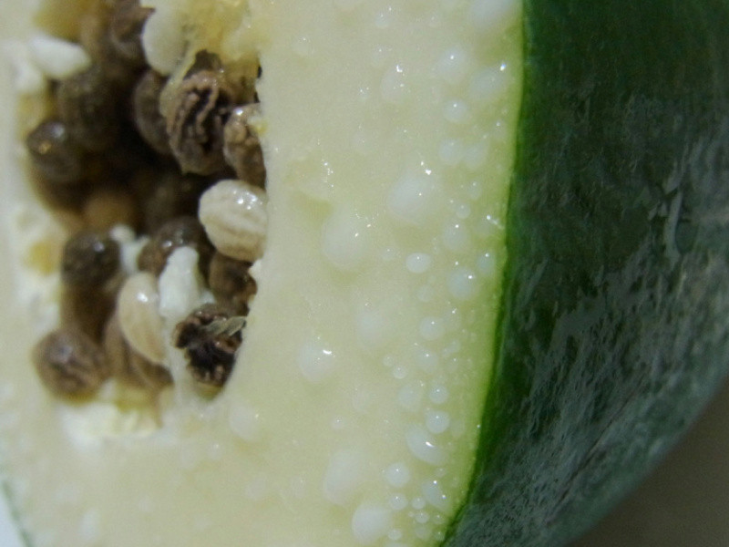 ����������ľ�ϵ�����