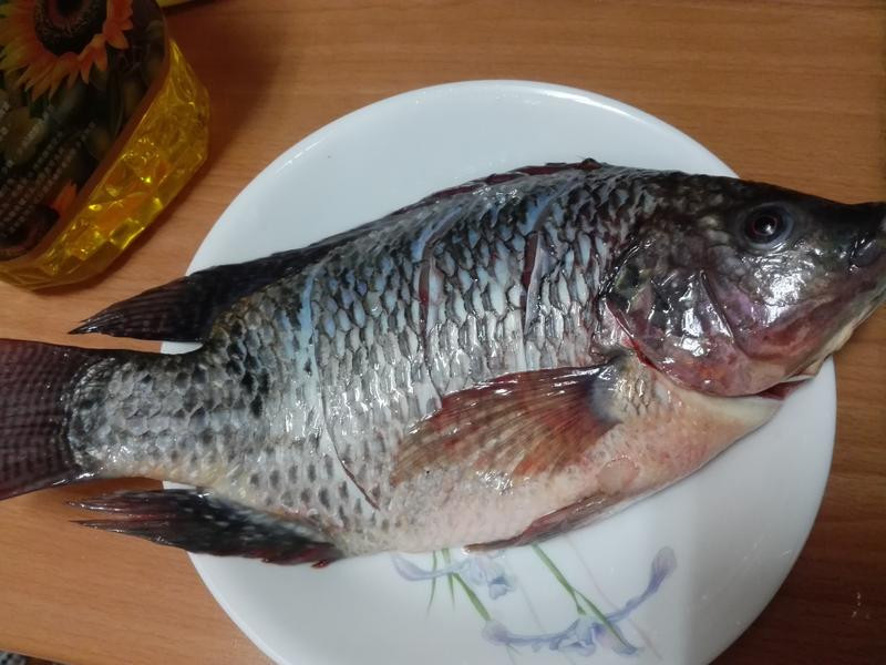 �Ǵ��㣨��ʰ棩������