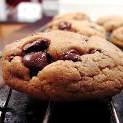 �������ɿ������������