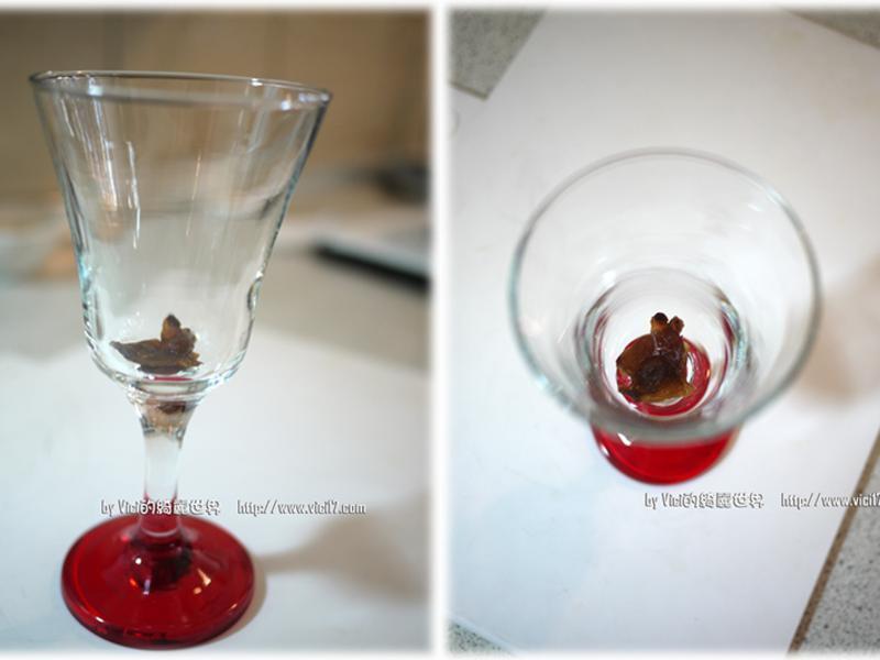 ֥�h�������ͷס�VICI�����˳�����������