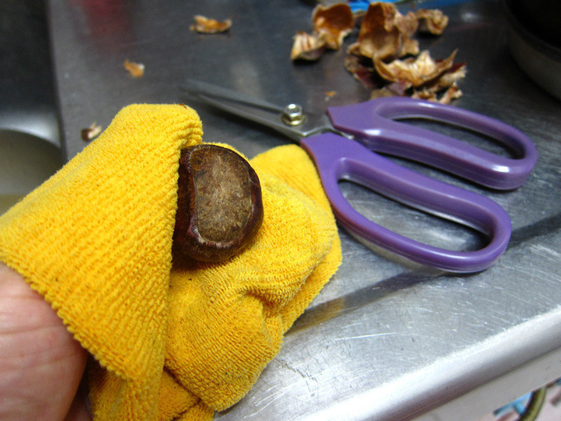 ����ع������յ�����