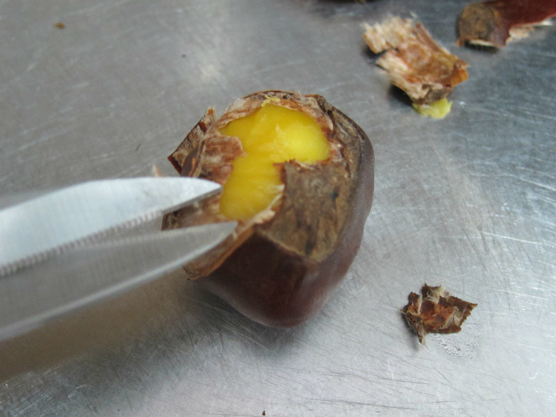 ����ع������յ�����