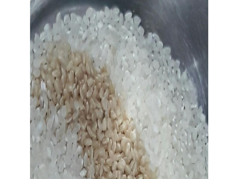 ��Ƥ����Ƥ����������������