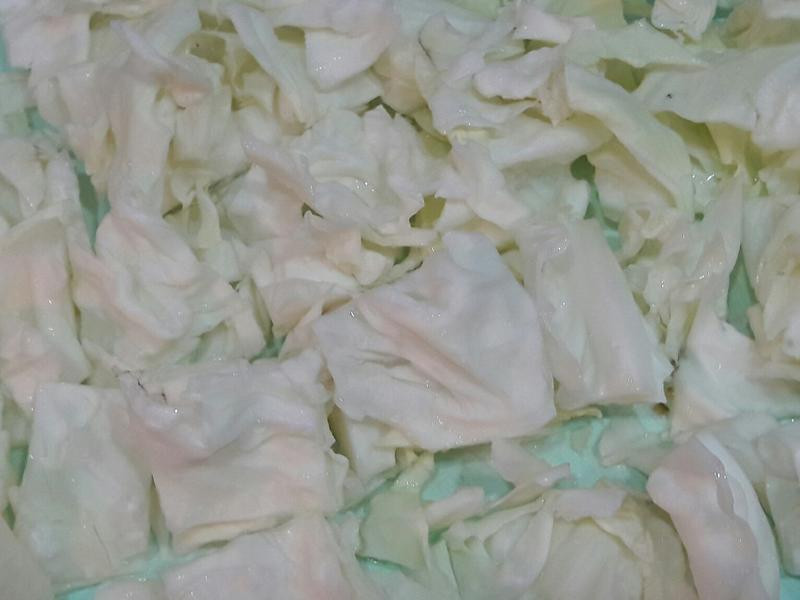 ��Ƥ����Ƥ����������������