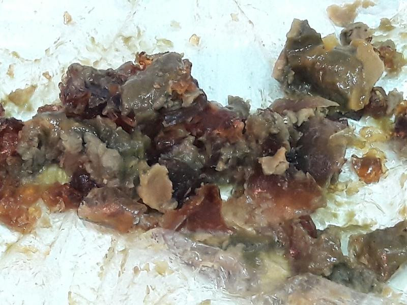 ��Ƥ����Ƥ����������������