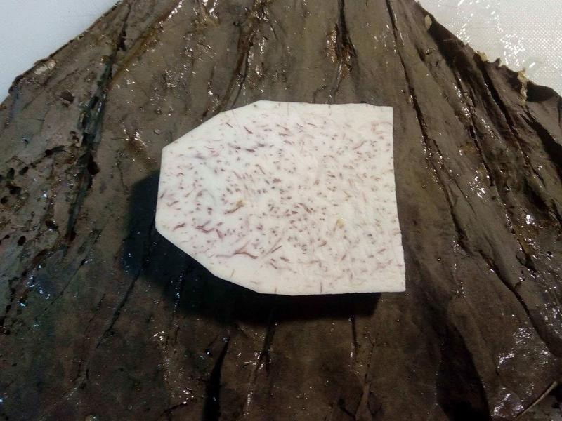 ��ҶС�׷����������