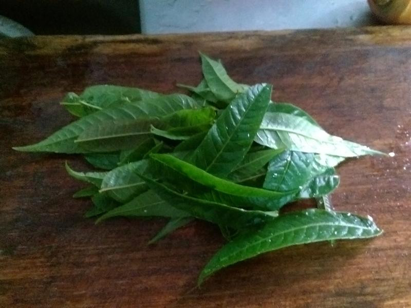 ���㴻����������