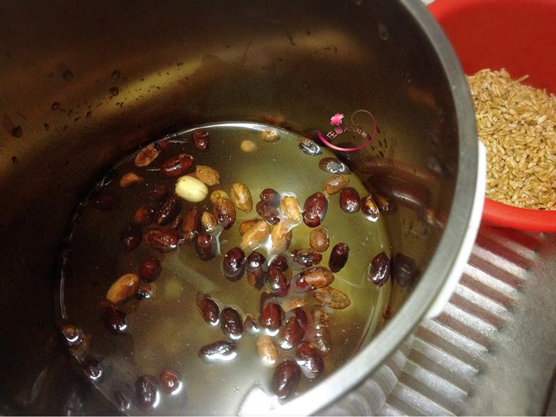 �����������󽬵�����