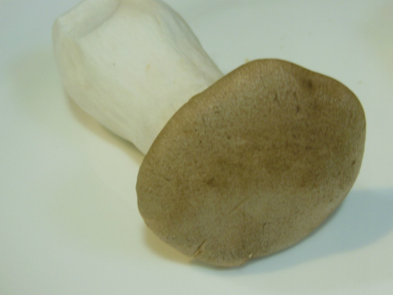 ?������ʳ?������������˸�~����ʳ������