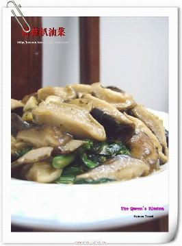 �ʹ����Ͳ˵�����