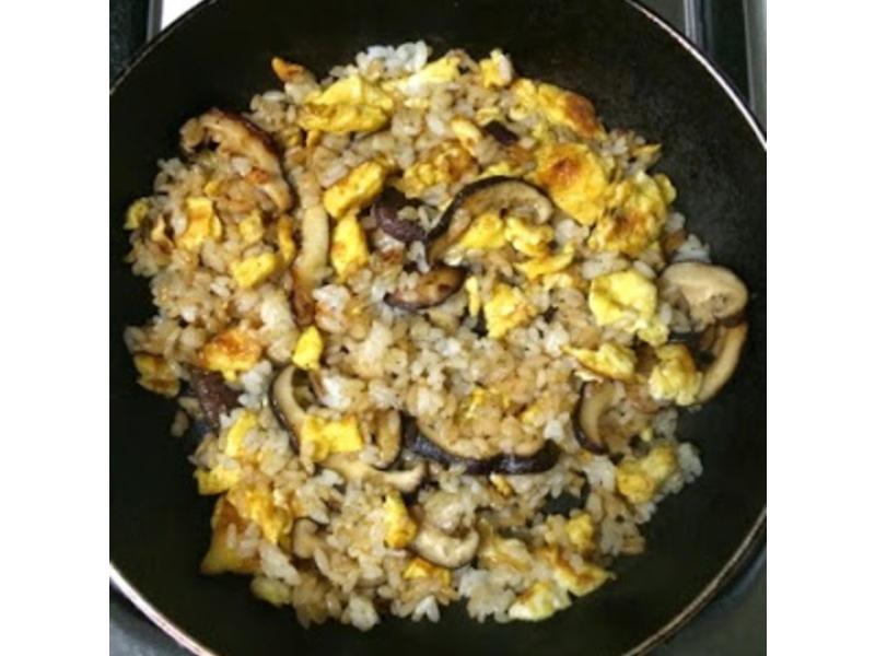 �㹽������������