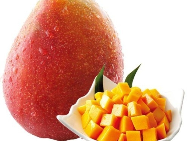 â�����ȱ�ɳ������