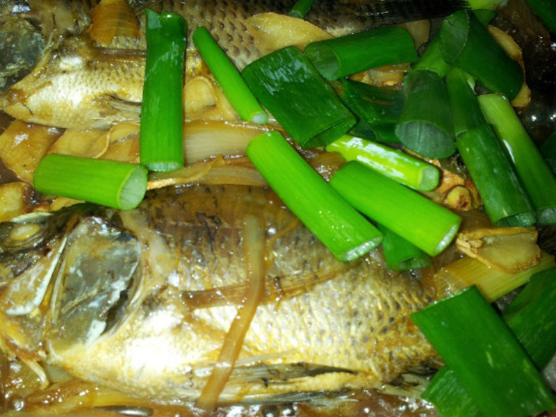 ���պ����������