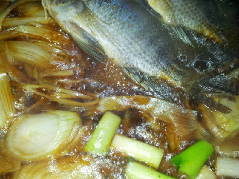 ���պ����������