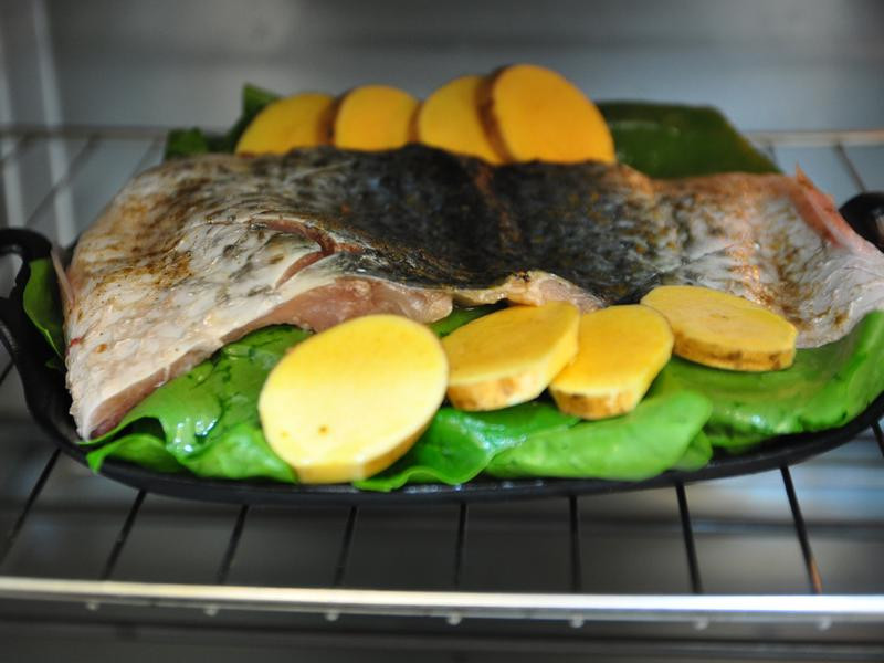 ��Ȼ�����ο��������