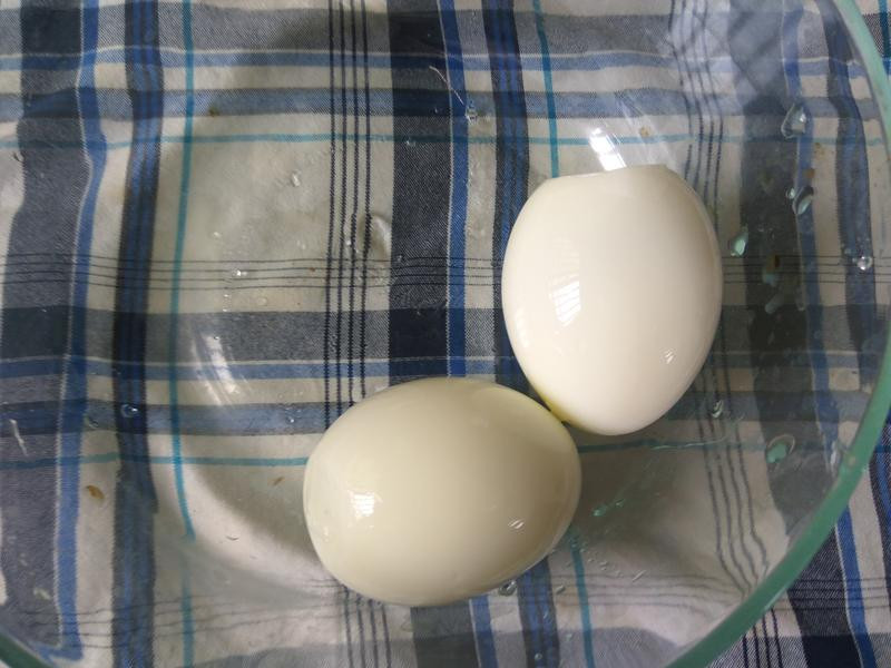 ������ݵ�ɳ��������