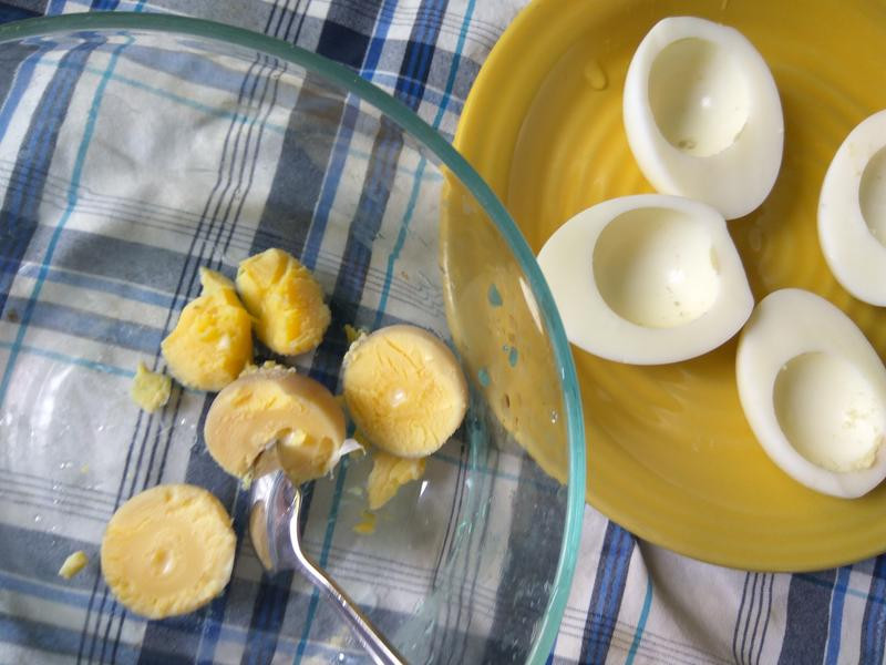 ������ݵ�ɳ��������