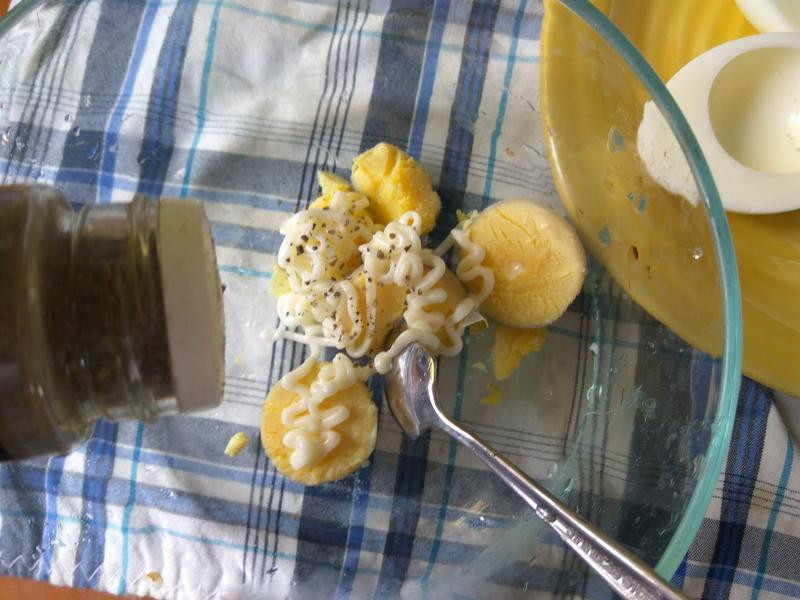 ������ݵ�ɳ��������