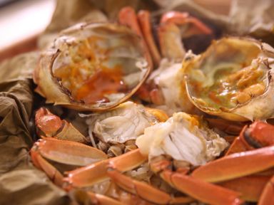 ���и�зŴ�׷�������