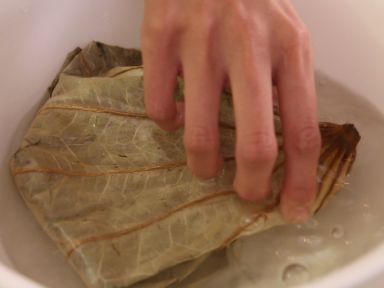 ���и�зŴ�׷�������