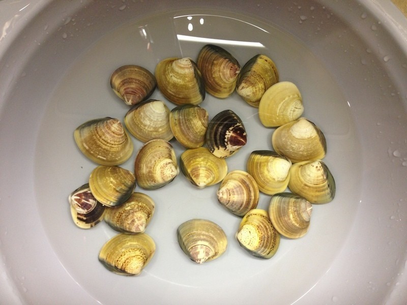 ����������������