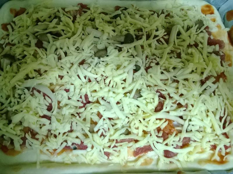 ��ʽ�ݲ��������������