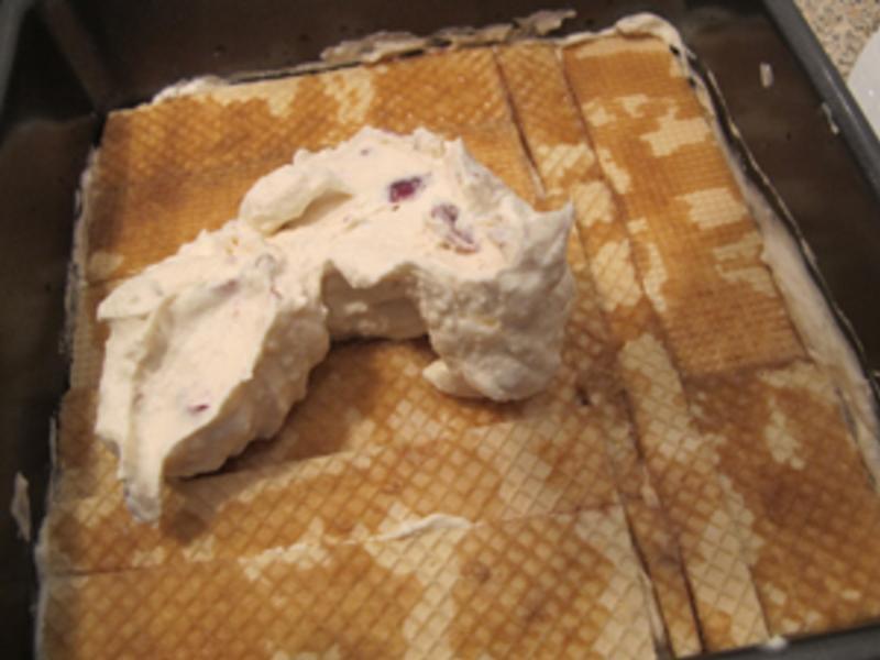 ��ɭ���������յ�����