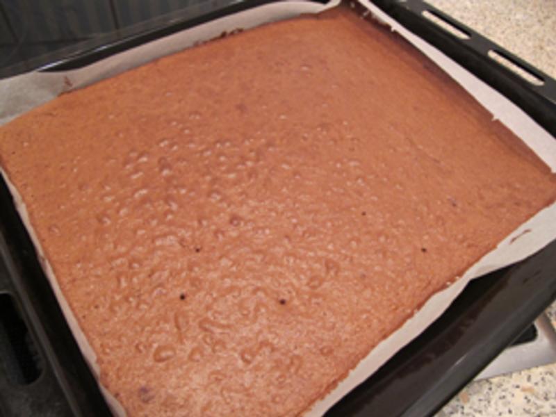 ��ɭ���������յ�����