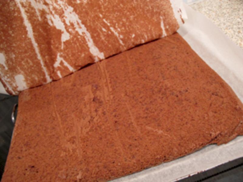 ��ɭ���������յ�����