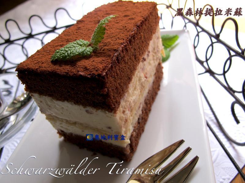 ��ɭ���������յ�����