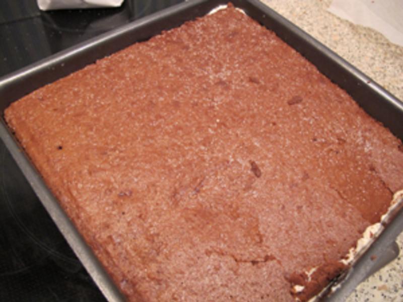 ��ɭ���������յ�����