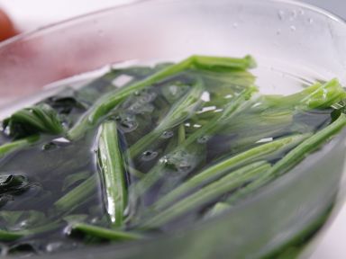 ���������ȵ�����