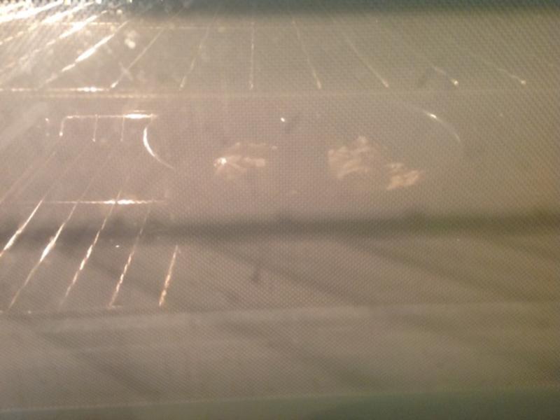 �ݷ�ģ������˺����������˾?!!!������