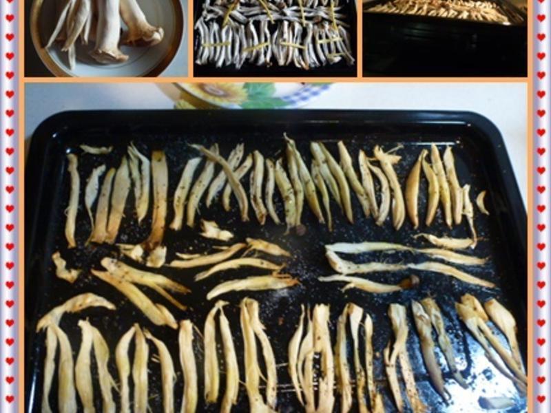 ��ˬ�Ϳ�����~���ο�����������