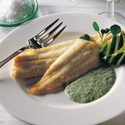 �㿾�����������