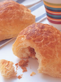 �����������������