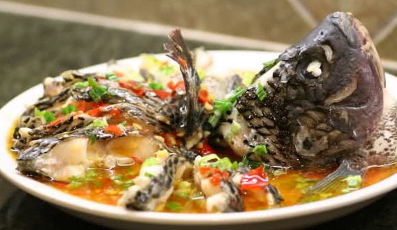 �����罷�������