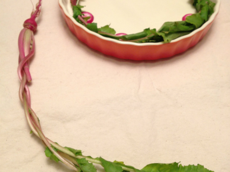 ӣ���ܲ�ʥ��Ȧ������