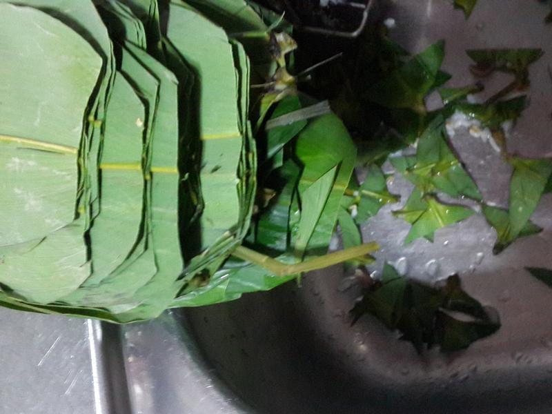 ԭζ���յ�����