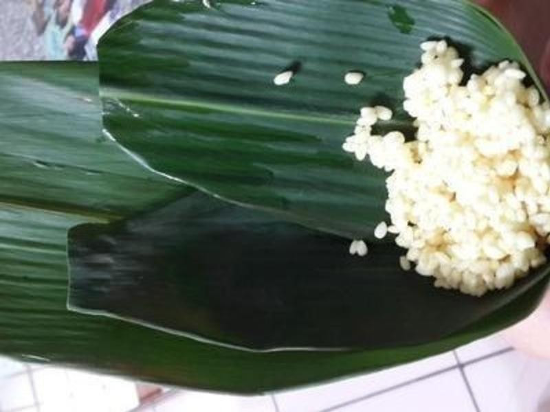 ԭζ���յ�����