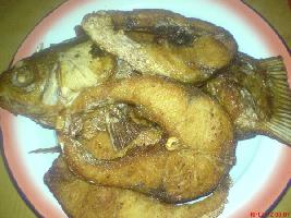 �������������