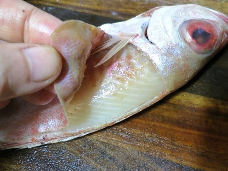 ��Ŀ�������������������