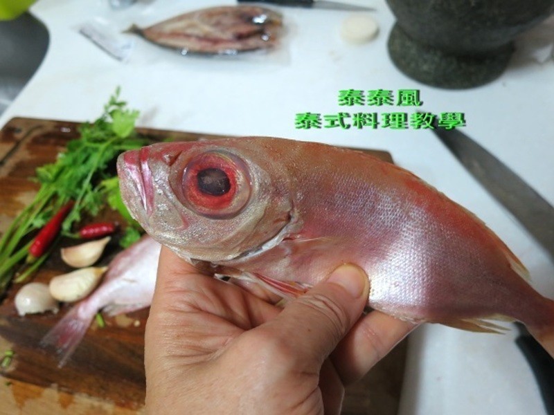 ��Ŀ�������������������