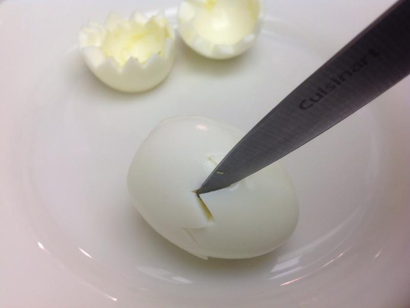 �����С��ħ�������ŵ�����